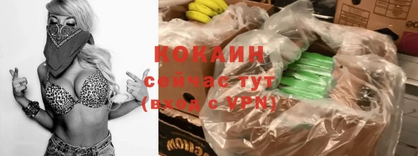 мяу мяу мука Абаза